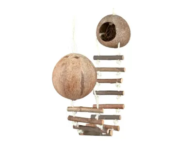 Podwójny domek z kokosa do terrarium 13 cm – dekoracja i schronienie dla zwierząt