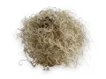 Tillandsia suszona - mech hiszpański 50g