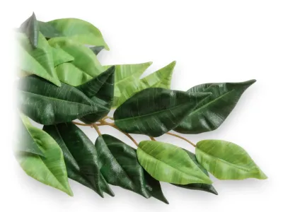 Wisząca sztuczna roślina do terrarium Exo Terra – Ficus