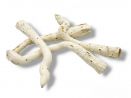 Pepe Cone małe korzenie bielone 10 sztuk 10-20cm 12,00 zł