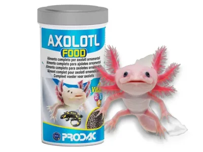 Pokarm dla aksolotla - pokarm w granulkach dla aksolotlów Prodac