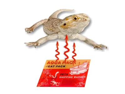 Aqua Heat Pack 40H 'Gold' – ogrzewacz 40 godzin, bezpieczny i skuteczny