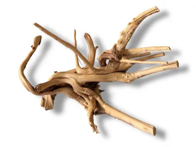 Korzeń japoński Red Moor Wood XL 25-45cm