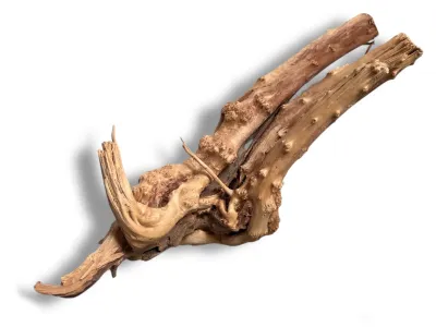 Korzeń japoński Red Moor Wood XL 25-45cm