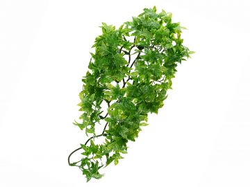 Roślina sztuczna do terrarium CONGO IVY S 36cm ZooMed 25,00 zł