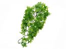 Roślina sztuczna do terrarium CONGO IVY S 36cm ZooMed 25,00 zł