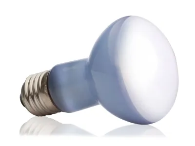 Żarówka grzewcza Daylight Basking Spot Exo Terra – naturalne światło dzienne