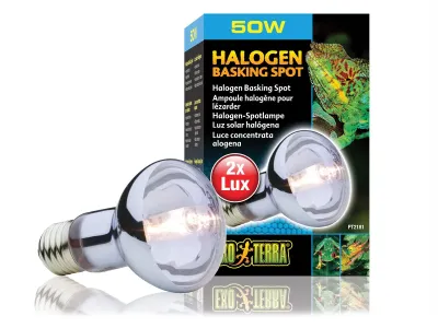Żarówka halogenowa Halogen Basking Spot Exo Terra – żarówka grzewcza, punkt wygrzewania