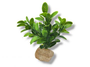 Roślina sztuczna na kamieniu StonePlant TYP 25 9,00 zł