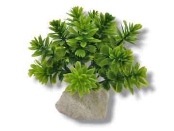 Roślina sztuczna na kamieniu StonePlant TYP 13 9,00 zł