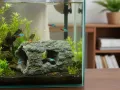 Jaskinia, kryjówka w starym pniaku 15cm Terra Natura – kryjówka do terrarium dla gadów i