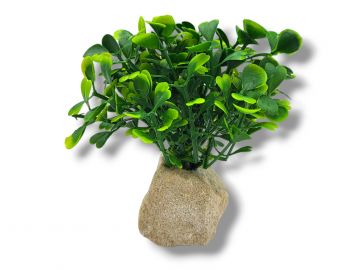 Roślina sztuczna na kamieniu StonePlant TYP 06 9,00 zł