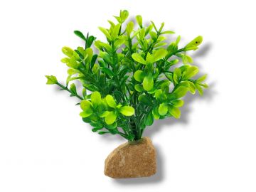 Roślina sztuczna na kamieniu StonePlant TYP 26 9,00 zł