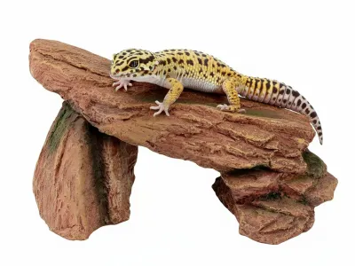 Kryjówka, jaskinia  do terrarium 19 cm - Terra Natura