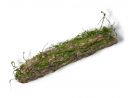 Kora omszała z mchem dekoracja do terrarium MossyWood 48cm 49,99 zł