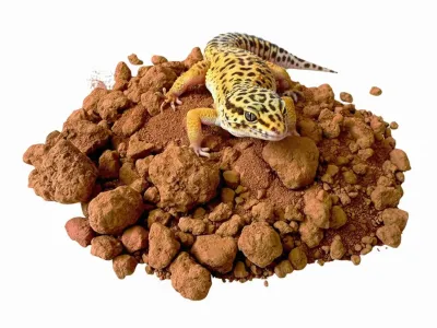 Sand Clay Red – czerwone podłoże dla agamy brodatej - piach z gliną do terrarium
