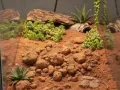 Sand Clay Red – czerwone podłoże dla agamy brodatej - piach z gliną do terrarium
