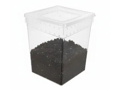 Pojemnik hodowlany Breeding Box 21x21x25cm – terrarium dla pająków, gadów, owadów