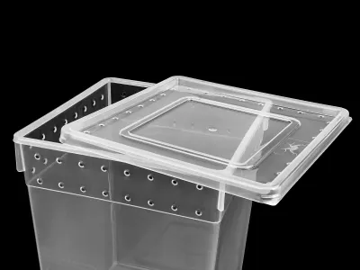 Pojemnik hodowlany Breeding Box 21x21x25cm – terrarium dla pająków, gadów, owadów