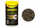 Suszone świerszcze dla gadów i ryb akwariowych Dried Crickets Tropical 100ml/10g 15,99 zł