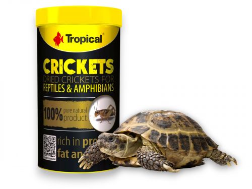 Suszone świerszcze dla gadów i ryb akwariowych Dried Crickets Tropical 100ml/10g 15,99 zł