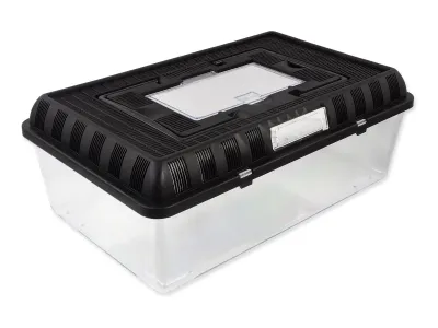 Pojemnik hodowlany faunarium płaskie L 42x26x16cm Repti Planet – box hodowlany dla owadów i