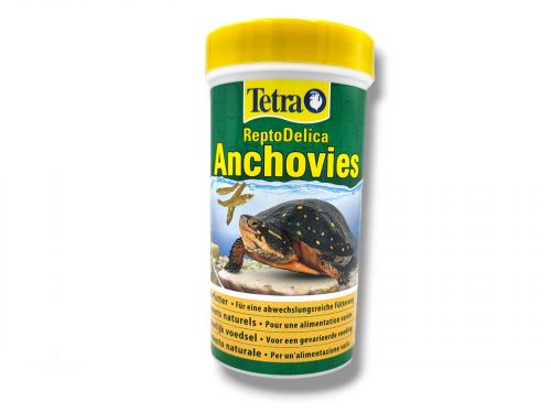 Pokarm z anchois dla żółwi wodnych Tetra Anchovies 250ml 20,99 zł