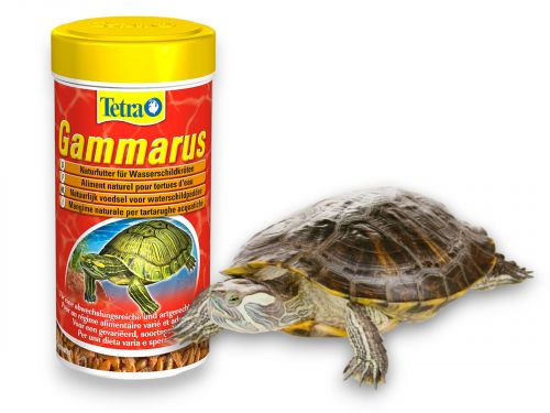 Pokarm dla żółwi z gammarus Tetra Gammarus 250ml 21,00 zł