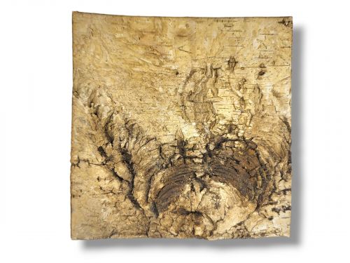 Tło do terrarium/pojemnika z naturalnej BRZOZY Birch Wall 15x15 6,49 zł