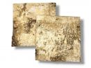 Tło do terrarium/pojemnika z naturalnej BRZOZY Birch Wall 15x15 6,49 zł