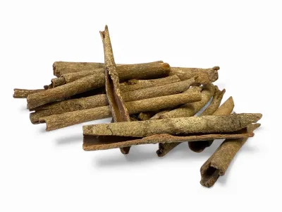 Małe naturalne patyczki do terrarium Little Stick zestaw 20 szt