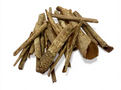Małe naturalne patyczki do terrarium Little Stick zestaw 20 szt