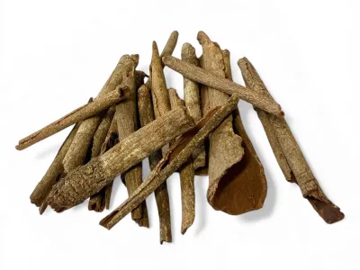 Małe naturalne patyczki do terrarium Little Stick zestaw 20 szt