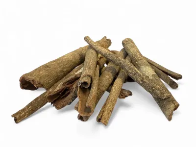 Małe naturalne patyczki do terrarium Little Stick zestaw 20 szt
