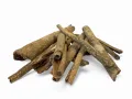 Małe naturalne patyczki do terrarium Little Stick zestaw 20 szt