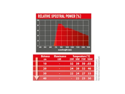 Czerwona żarówka grzewcza Infrared Heat - Repti Planet