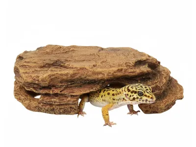 Kryjówka, jaskinia piaskowiec do terrarium 26x14x8cm