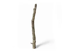 Gałęzie korkowe Cork Branch - gałąź dębu korkowego 50cm 2