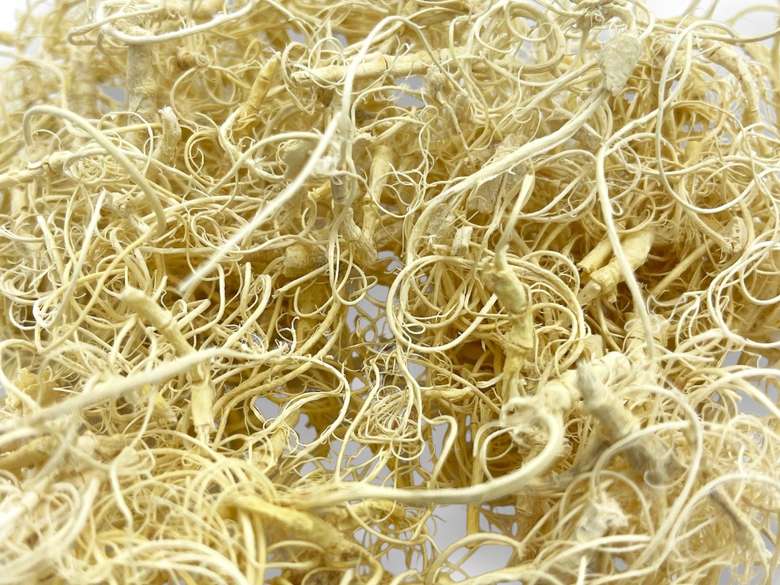 Małe korzenie bielone Curly Moss - 50g 9,00 zł