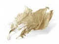 Nasada liścia palmy Palm Hide BLD bielona- zestaw 3-4szt. – dekoracja do terrarium, naturalny