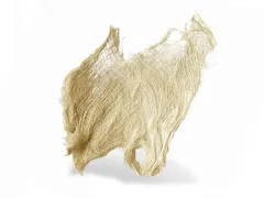 Nasada liścia palmy Palm Hide BLD bielona- zestaw 3-4szt.