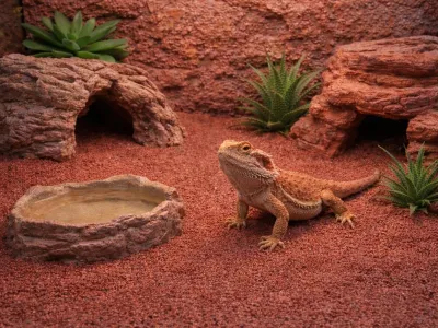 Piasek, drobny żwirek do terrarium czerwony 1kg Happet