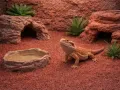 Piasek, drobny żwirek do terrarium czerwony 1kg Happet
