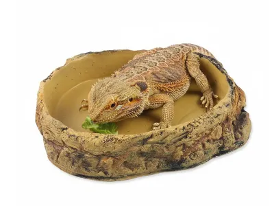 Duża miska do terrarium 26,5x22,5x6 cm – na wodę lub pokarm Repti Planet – pokarm dla zwierząt