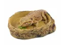 Duża miska do terrarium 26,5x22,5x6 cm – na wodę lub pokarm Repti Planet – pokarm dla zwierząt