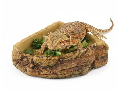 Miska narożna do terrarium 14,5x14,5x4 cm Repti Planet