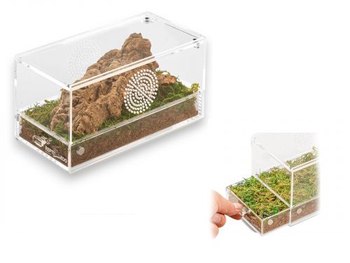 Terrarium akrylowe poziome 20x10x10cm Easy Clean Acrylic Terrarium Repti-Zoo 119,99 zł