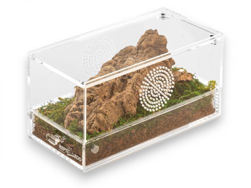 Terrarium akrylowe poziome 20x10x10cm Easy Clean Acrylic Terrarium Repti-Zoo 119,99 zł