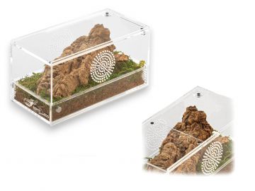 Terrarium akrylowe poziome 20x10x10cm Easy Clean Acrylic Terrarium Repti-Zoo 119,99 zł