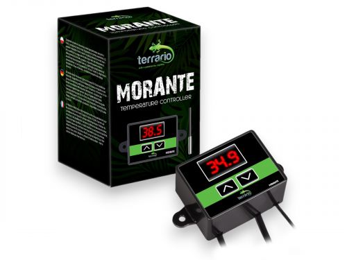 Termostat terrarystyczny z sondą Morante Terrario 74,90 zł